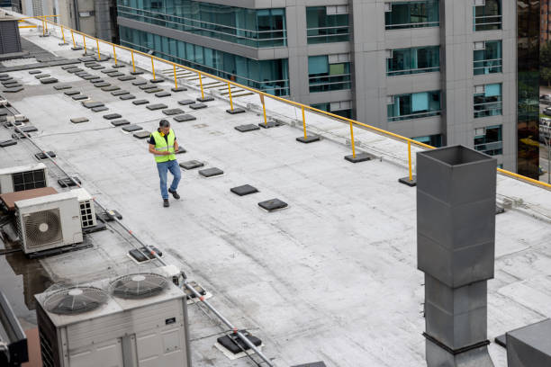 Best Roof Insulation Installation  in Estell Manor, NJ