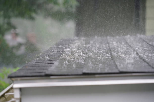 Best Green or Eco-Friendly Roofing Solutions  in Estell Manor, NJ